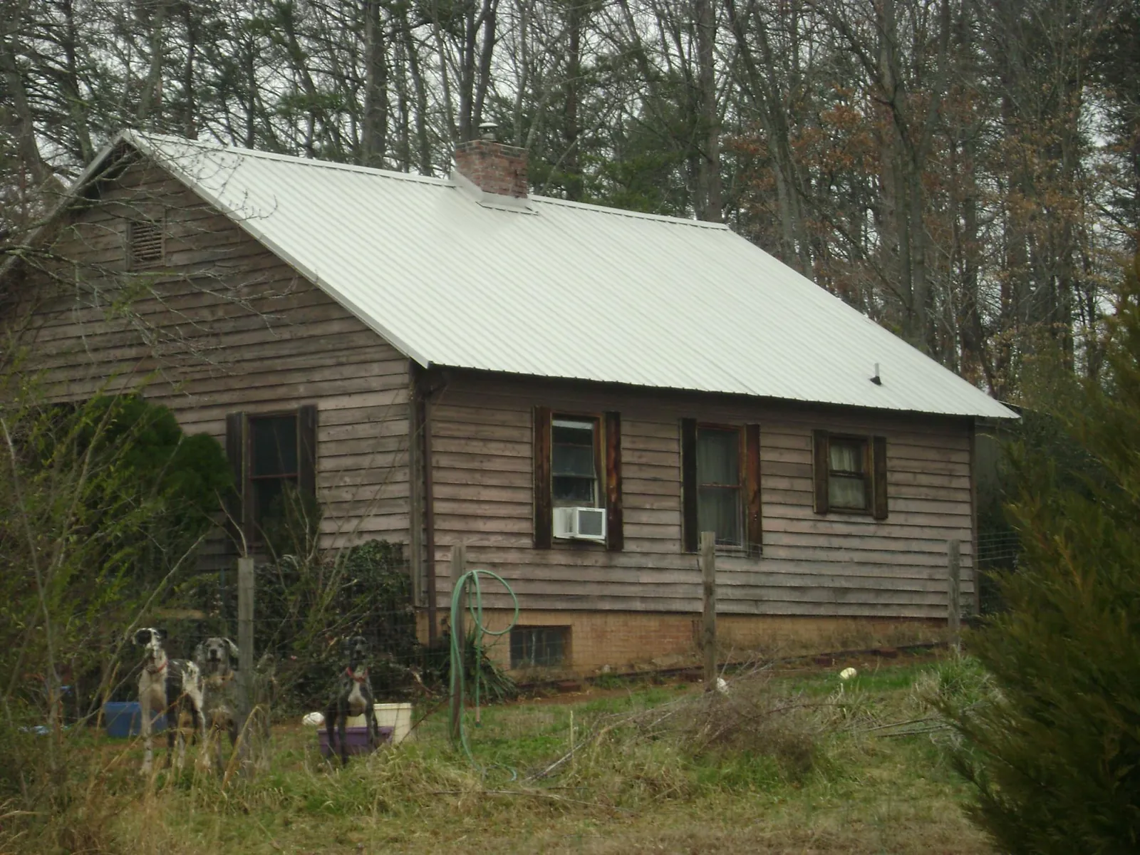 White metal roof on an old wood sided farmhouse, from a Metal Roof Installation job in Greeley